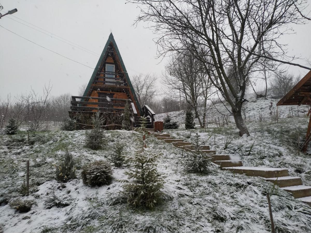 Zelenaya Usad'Ba Stavbor Zavadivka Exterior photo
